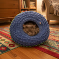 A photo of a blue cat cave with an AI generated cat and background
